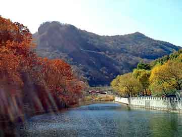 澳门版全年免费大全，波峰焊配件